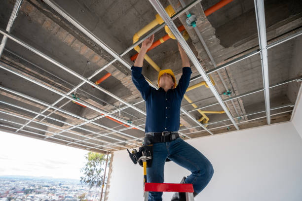 Best Water Leak Repair  in Olivia, MN