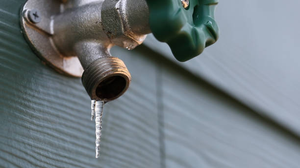 Best Leak Detection Services  in Olivia, MN