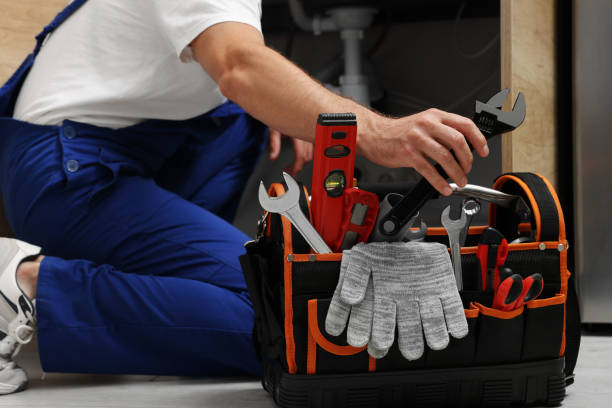 Best Toilet Repair Services  in Olivia, MN