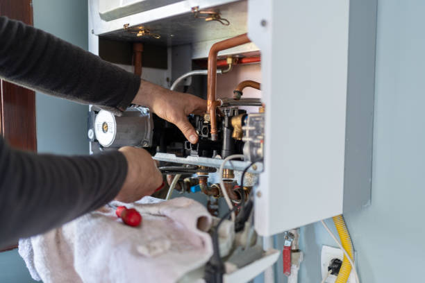 Best Clogged Drain Plumber  in Olivia, MN