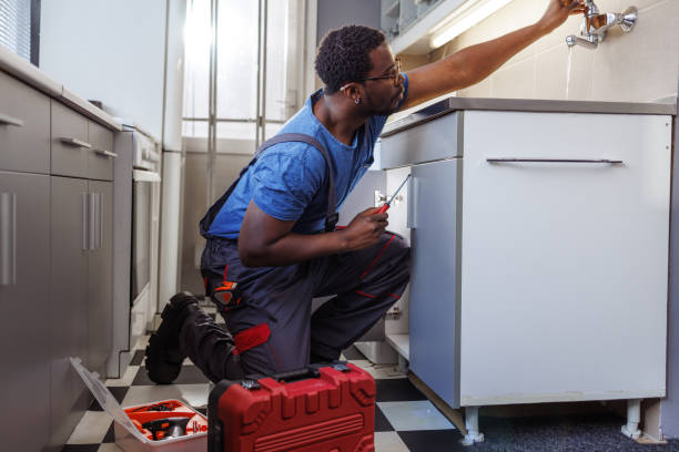 Best Clogged Drain Plumber  in Olivia, MN
