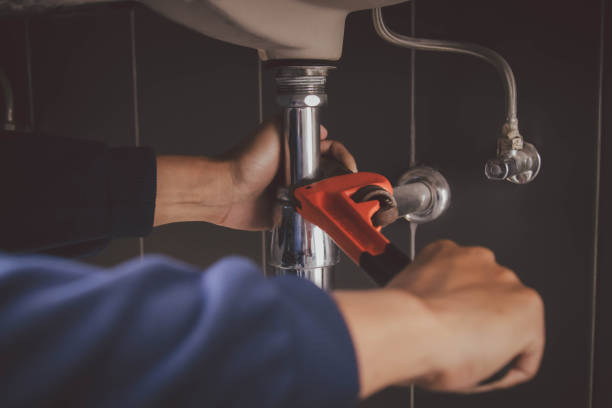 Best Affordable Plumbing Services  in Olivia, MN