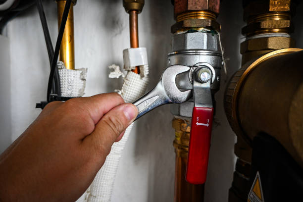 Best Best Plumbers Near Me  in Olivia, MN